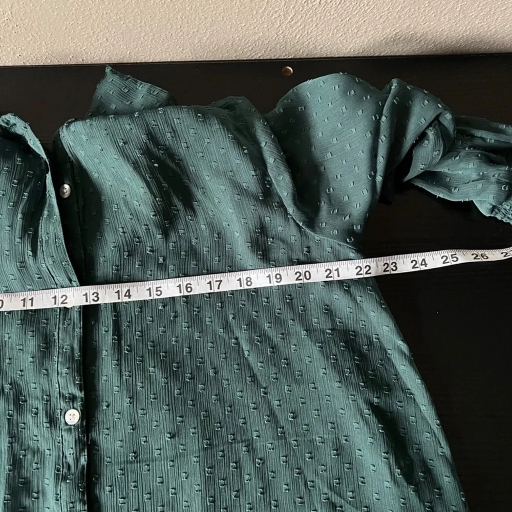 Caffe Marrakesh Sheer Button Up Swiss Dot‎ Long Sleeve Hunter Green Blouse 1X